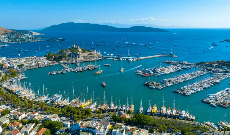 The harbor with luxury yachts viewed from a wide angle